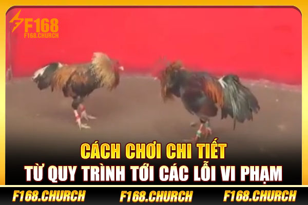 Cách chơi chi tiết từ quy trình tới các lỗi vi phạm Cách chơi chi tiết từ quy trình tới các lỗi vi phạm