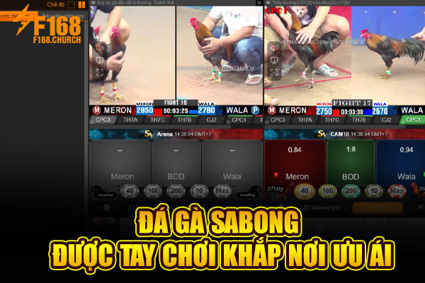 Đá gà sabong được tay chơi khắp nơi ưu ái Đá gà sabong được tay chơi khắp nơi ưu ái