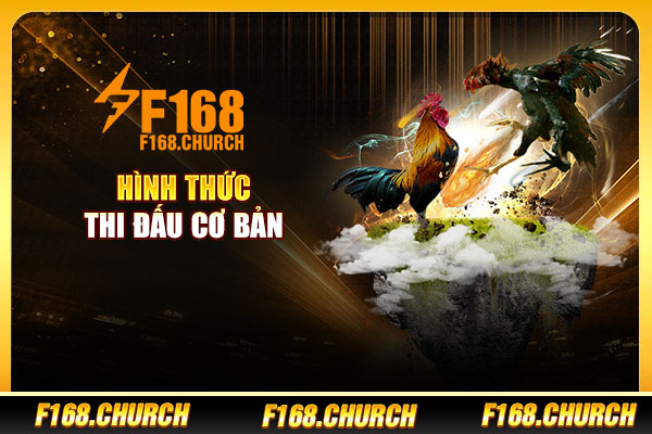 Hình thức thi đấu cơ bản Hình thức thi đấu cơ bản