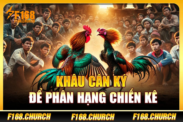 Khâu cân ký để phân hạng chiến kê Khâu cân ký để phân hạng chiến kê